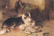 Walter Hunt The Shepherd-s Pet Spain oil painting artist